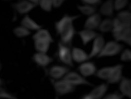 RAMIS: Image Stack