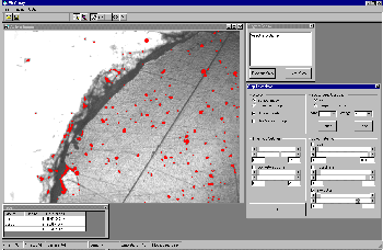 Chargement de l&rsquo;image threshAfterFFTandObjFiltering-small.gif