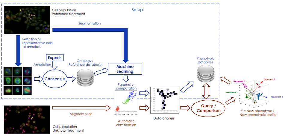RAMIS : Identification automatique de nouveaux ph&eacute;notypes